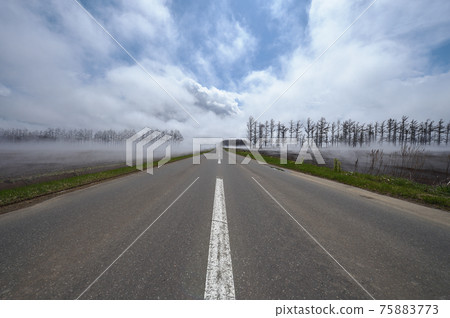 知床地區霧和直路(北海道) 知床地區霧和直路(北海道) 75883773