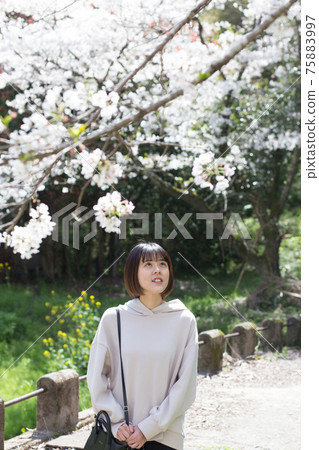 一個女人看櫻花的肖像 一個女人看櫻花的肖像 75883997