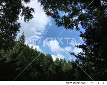 Jangtaesan National Park Blue Sky Jangtaesan National Park Blue Sky 75884131