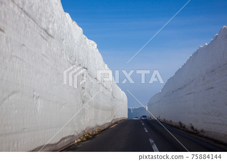 八甲田金線走廊 八甲田金線走廊 75884144