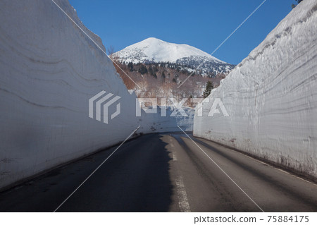 Snow Corridor and Hakkoda Mountains Snow Corridor and Hakkoda Mountains 75884175