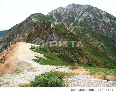 北阿爾卑斯、五龍岳 北阿爾卑斯、五龍岳 75884325