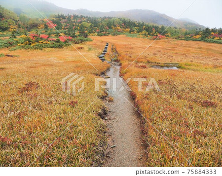 Northern Alps / Hida Mountains Northern Alps / Hida Mountains 75884333