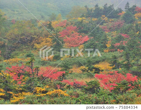 Northern Alps / Hida Mountains Northern Alps / Hida Mountains 75884334