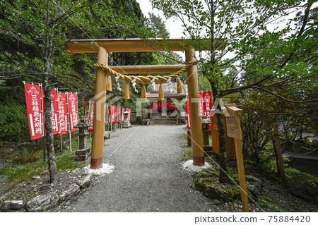 玉木神社、雪松社、三橋神社、熊野三山的內宮 玉木神社、雪松社、三橋神社、熊野三山的內宮 75884420