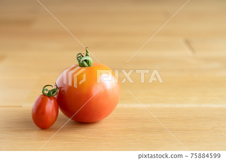 Snuggling tomatoes and mini tomatoes 75884599