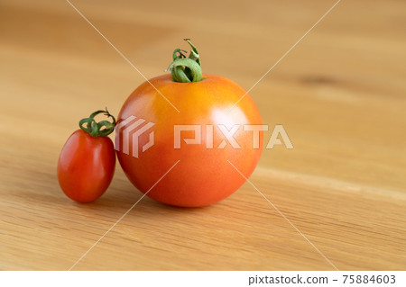 Snuggling tomatoes and mini tomatoes Snuggling tomatoes and mini tomatoes 75884603