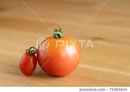 Snuggling tomatoes and mini tomatoes Snuggling tomatoes and mini tomatoes 75884604
