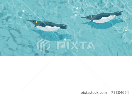Penguin swimming underwater Penguin swimming underwater 75884634