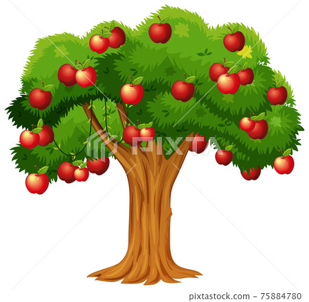Apple tree isolated on white background - Stock Illustration [75884780 ...