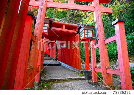 太鼓谷稻荷神社、硃砂千本鳥居、表參道、津和野町 太鼓谷稻荷神社、硃砂千本鳥居、表參道、津和野町 75886251