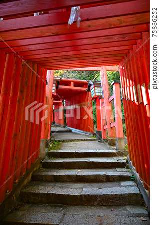 太鼓谷稻荷神社、硃砂千本鳥居、表參道、津和野町 太鼓谷稻荷神社、硃砂千本鳥居、表參道、津和野町 75886252