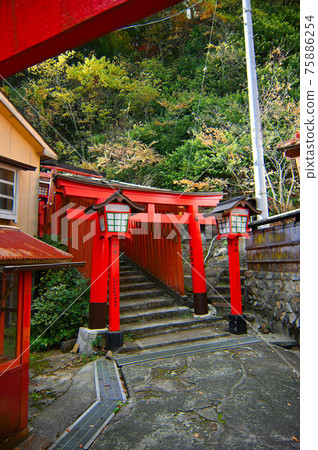 Taikodani Inari Shrine, Vermilion Senbon Torii, Omotesando, Tsuwano Town Taikodani Inari Shrine, Vermilion Senbon Torii, Omotesando, Tsuwano Town 75886254