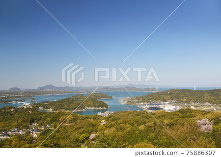 Seniwayama Amakusa Gobashi Sakura 75886307