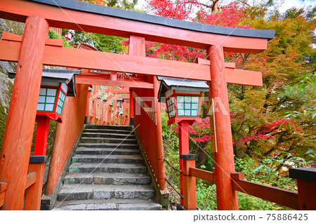 太鼓谷稻荷神社、硃砂千本鳥居、表參道、津和野町 75886425