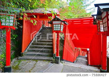太鼓谷稻荷神社、硃砂千本鳥居、表參道、津和野町 太鼓谷稻荷神社、硃砂千本鳥居、表參道、津和野町 75886427
