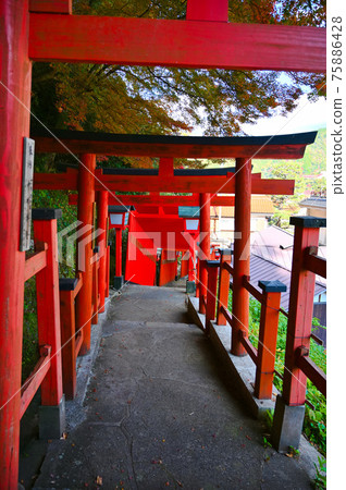 太鼓谷稻荷神社、硃砂千本鳥居、表參道、津和野町 75886428