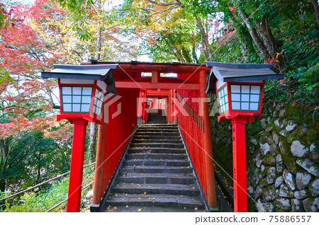 島根縣津和野町表參道朱紅色千本鳥居太鼓谷稻荷神社 75886557
