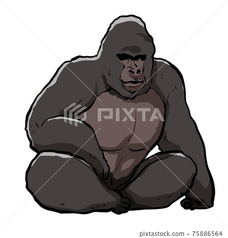 現實坐大猩猩圖 現實坐大猩猩圖 75886564