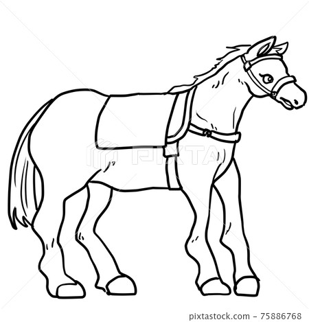 逼真的賽馬線描 逼真的賽馬線描 75886768
