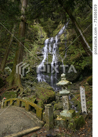 Flying dragon (Sayo-cho, Sayo-gun, Hyogo Prefecture) 75886859