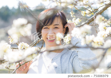 埼玉縣秩父市，一位中年婦女在賞櫻 75886979