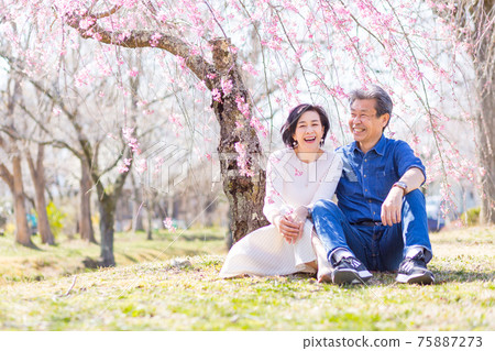 Senior couple enjoying Yoshino cherry blossoms in Chichibu, Saitama Prefecture Senior couple enjoying Yoshino cherry blossoms in Chichibu, Saitama Prefecture 75887273