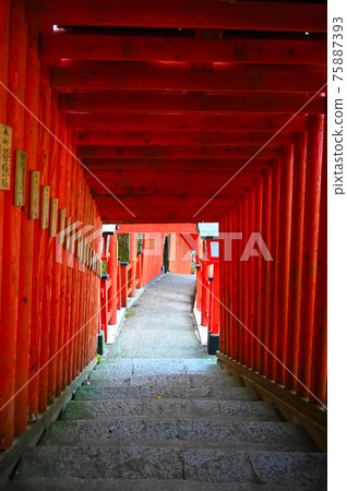 太鼓谷稻荷神社千本鳥居表參道津和野町 75887393
