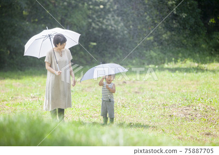 Parents and children walking with an umbrella on a rainy day Parents and children walking with an umbrella on a rainy day 75887705