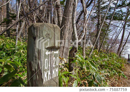 Information sign for the forest promenade on a sunny day Information sign for the forest promenade on a sunny day 75887759
