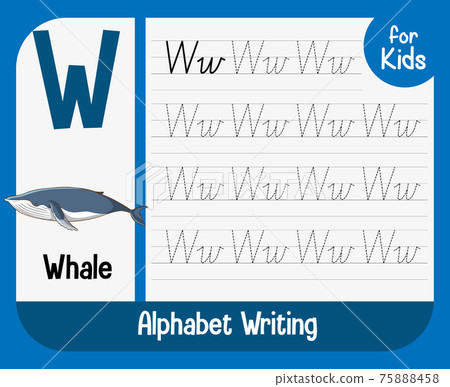 Alphabet tracing worksheet with letter and vocabulary 75888458
