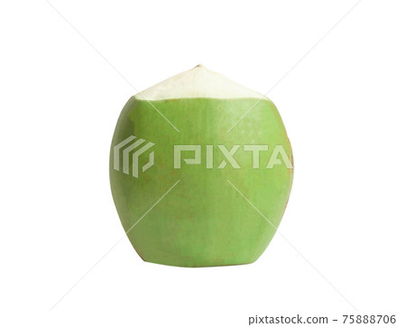 Green coconut isolated on white background Green coconut isolated on white background 75888706
