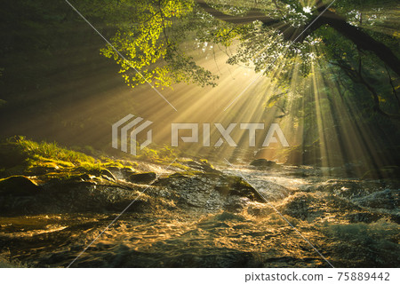 菊池峽的晨光 菊池峽的晨光 75889442