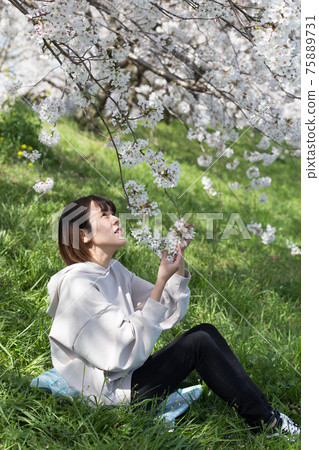 坐在岸邊看櫻花 坐在岸邊看櫻花 75889731