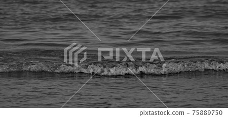 Black and White water ripples. Waves on water background and textures. Black and White water ripples. Waves on water background and textures. 75889750
