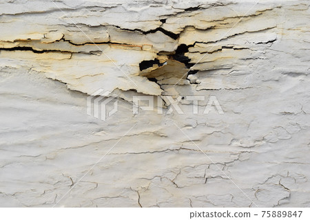 Peeled white paint Peeled white paint 75889847