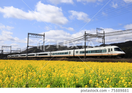 Kintetsu Limited Express Urban Liner and Rape Field Kintetsu Limited Express Urban Liner and Rape Field 75889881