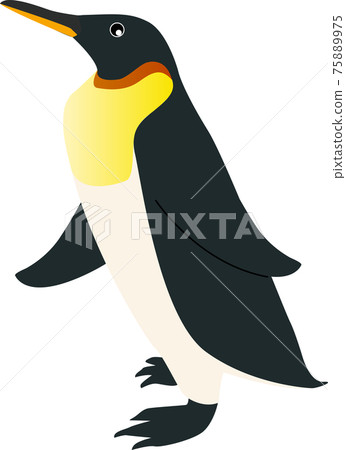可愛的帝企鵝 可愛的帝企鵝 75889975