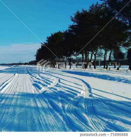 北海道帶廣市郊外的雪原 75890888