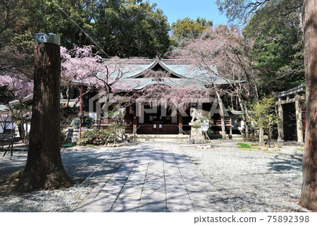 北倉神社灘之一井 北倉神社灘之一井 75892398