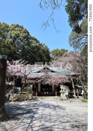 Hokura Shrine Nada no Hitotsui Hokura Shrine Nada no Hitotsui 75892400