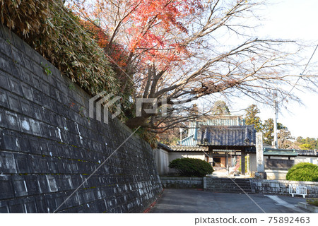 I went to Zenjuji Temple # 4 I went to Zenjuji Temple # 4 75892463