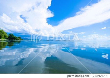琵琶湖夏日風光 琵琶湖夏日風光 75892636