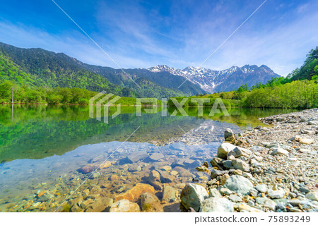 Kamikochi in early summer Taisho Pond [Nagano Prefecture] 75893249