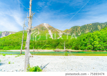 初夏的神iko町Azusa河和Yake山[長野縣] 75893474