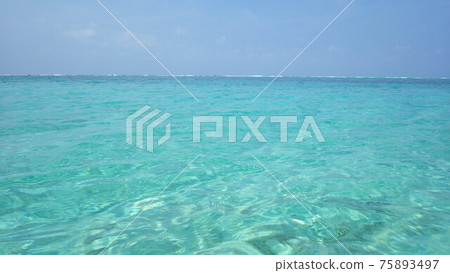 【南島】閃耀的翡翠綠海 【南島】閃耀的翡翠綠海 75893497