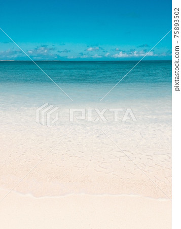 [Yoron Island] Emerald green sea and white sand beach 75893502