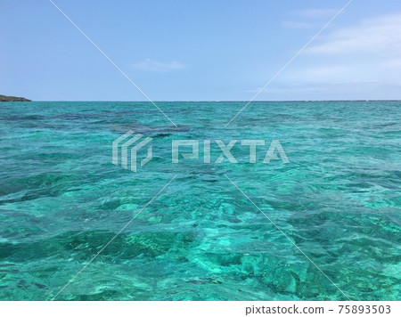 [Yoron Island] A jelly-like sea shining in emerald green 75893503