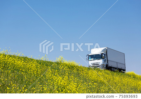 卡車圖片 卡車圖片 75893693