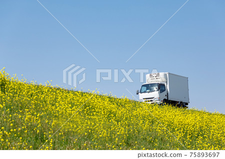 Truck image 75893697